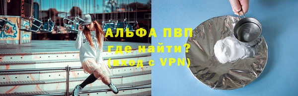 стаф Гусев