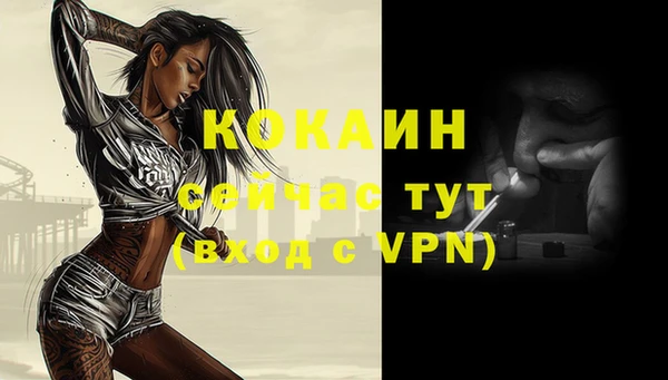 стаф Гусев