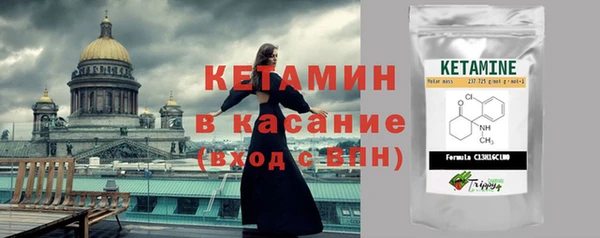 стаф Гусев