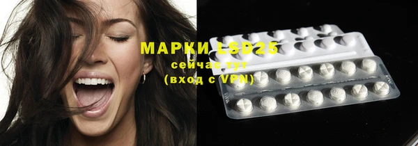 стаф Гусев
