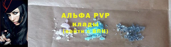 стаф Гусев