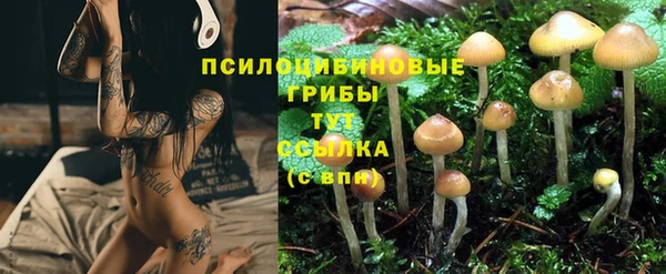 ALPHA PVP Гусиноозёрск