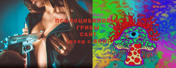 стаф Гусев