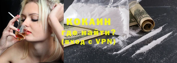 стаф Гусев